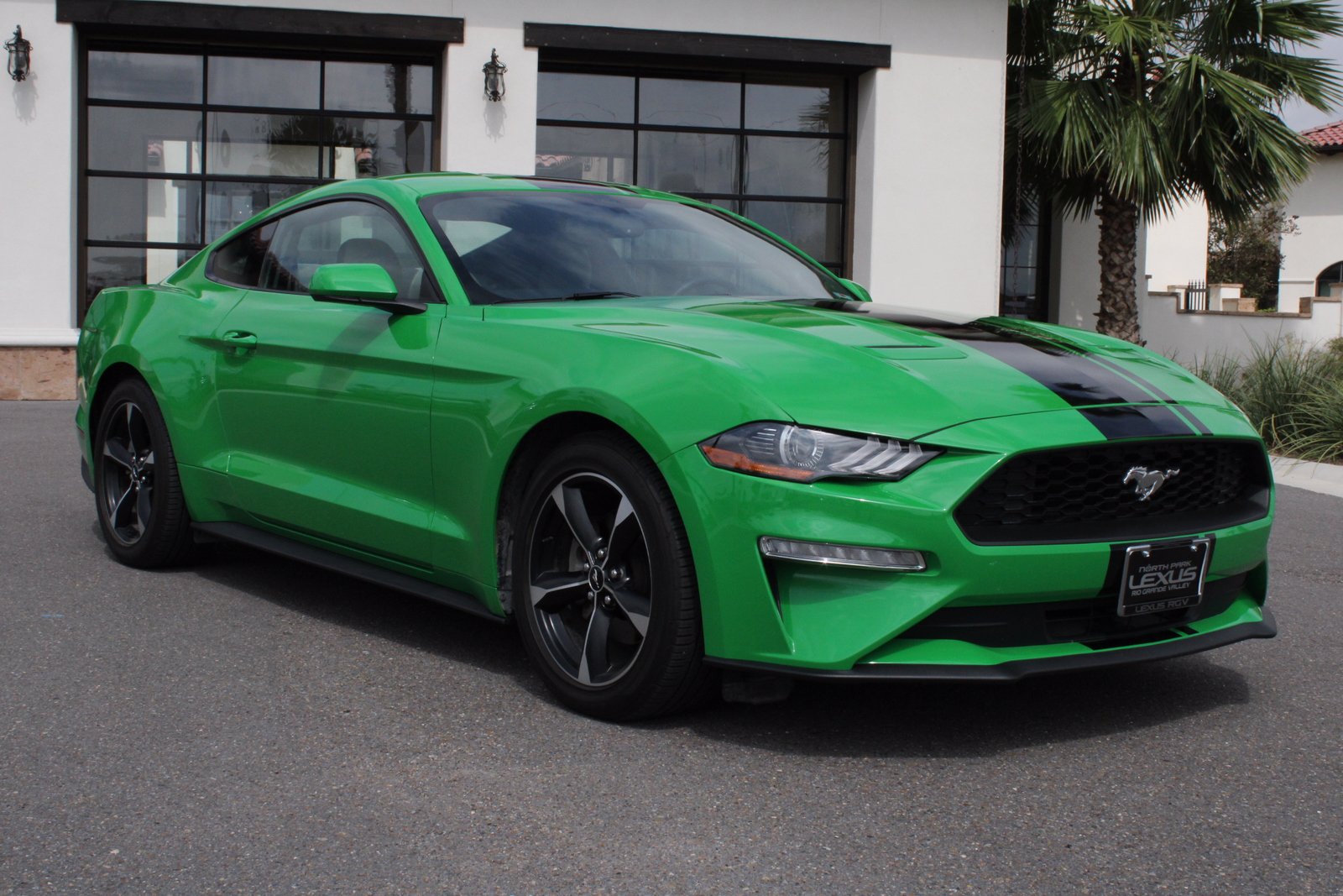 PreOwned 2019 Ford Mustang EcoBoost Fastback